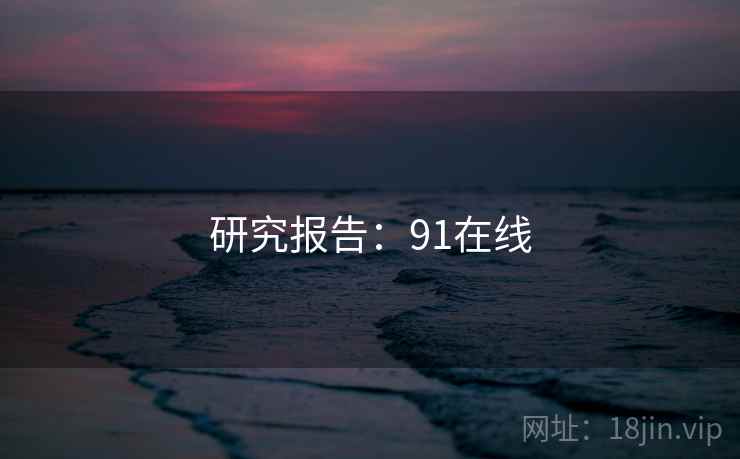 研究报告：91在线  第2张
