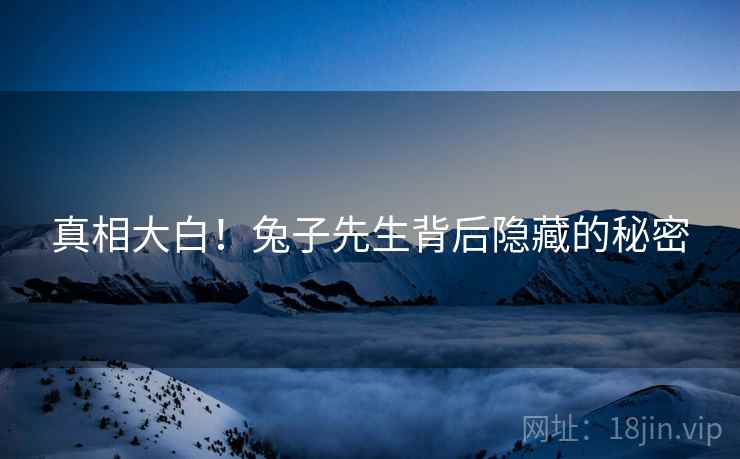 真相大白！兔子先生背后隐藏的秘密  第2张