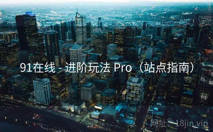 91在线 - 进阶玩法 Pro（站点指南）