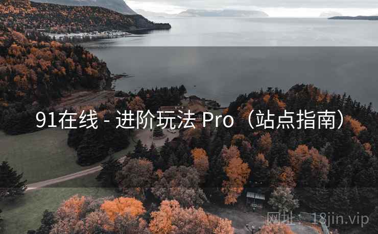 91在线 - 进阶玩法 Pro（站点指南）