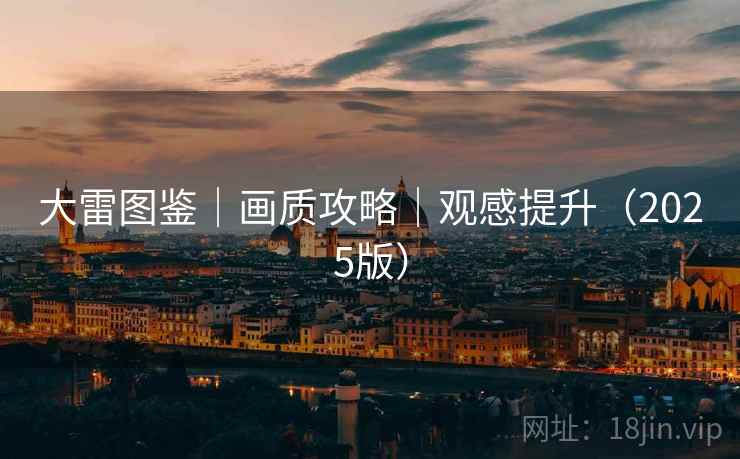 大雷图鉴｜画质攻略｜观感提升（2025版）  第2张