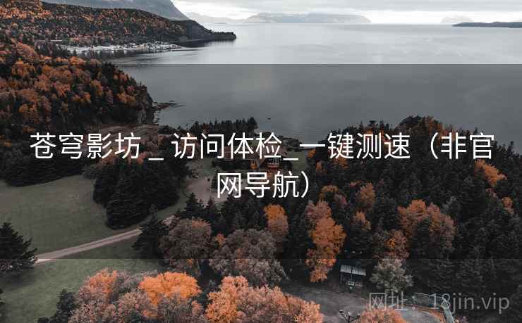 苍穹影坊 _ 访问体检_一键测速（非官网导航）