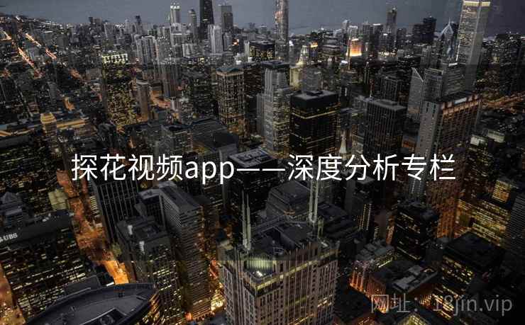 探花视频app——深度分析专栏