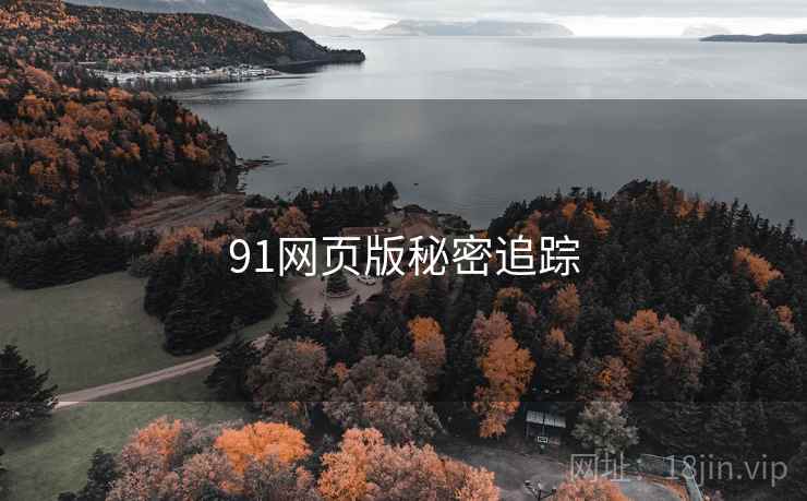 91网页版秘密追踪