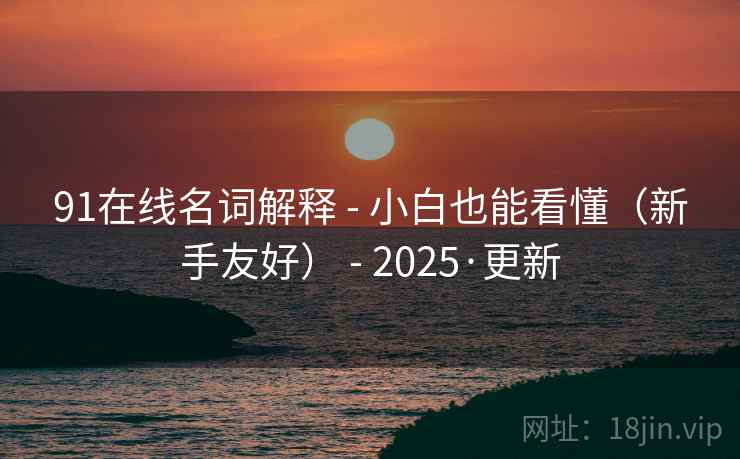 91在线名词解释 - 小白也能看懂（新手友好） - 2025·更新