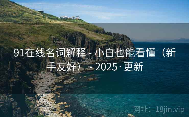 91在线名词解释 - 小白也能看懂（新手友好） - 2025·更新